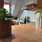 Appartement Spacieux Calme Au Coeur De Rouffach