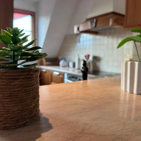 Apartment Spacieux Calme Au Coeur De Rouffach