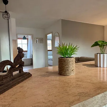Apartment Spacieux Calme Au Coeur De Rouffach