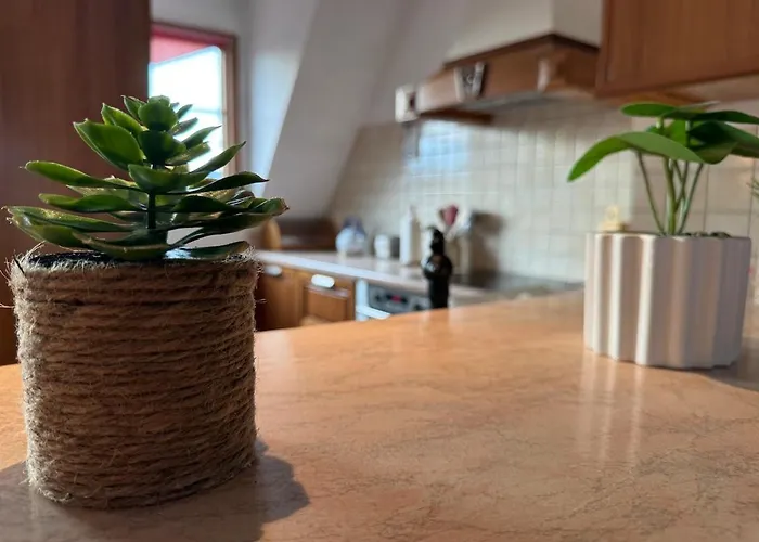 Appartement Spacieux Calme Au Coeur De Rouffach