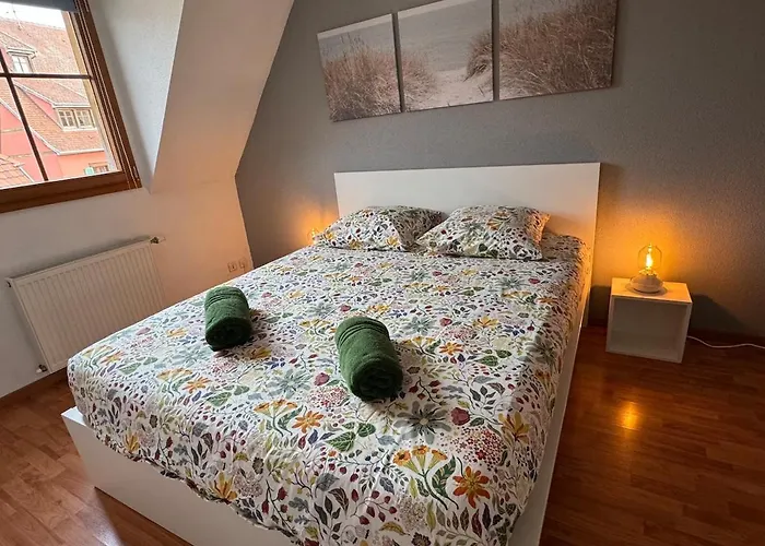 Spacieux Calme Au Coeur De Appartement Rouffach