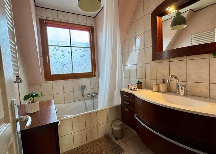 Appartement Spacieux Calme Au Coeur De Rouffach