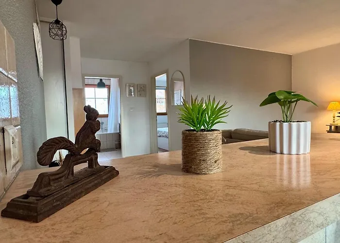 Appartement Spacieux Calme Au Coeur De Rouffach